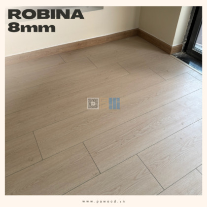 phân phối robina tại Đà Nẵng - Miền Trung