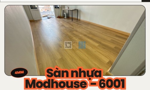 Cam Đen Hiện Đại Kế Hoạch Marketing Truyền Thông Xã Hội Bài Trình Bày